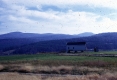 Wallace House