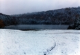 Warden Pond in November