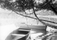 Boats on Warden Pond