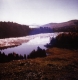 Fog on Warden Pond