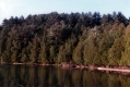 Warden Pond scene from Picnic Point