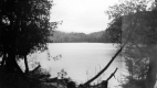 Warden Pond in December