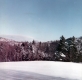 Snowy yard at Warden Farm