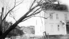 Sugar Maple on house at Warden Farm