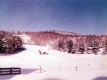 Snowy landscape on Warden Farm