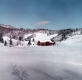 Warden Farm behind the house