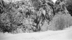 Snow storm on Warden Road. 