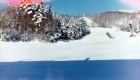 Winter at Warden Farm