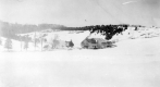 Snowy scene at Warden Farm