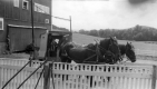 Bert Eastman's team in front of Warden barn