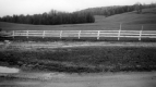 Fence in front of house at Warden Farm