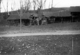 Barnet Center Horse sheds