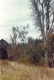 Ben Thresher's Shop and surrounding trees