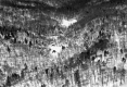 Houses on Mt. Mansfield