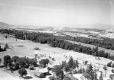 Town of Waltham