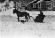 Sleigh Ride with Norton Ridley