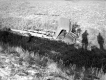 Allen River Accident