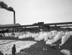 Vermont Marble Company Mill and Yard