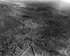 Aerial of pastures and forested area