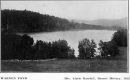 Warden Pond near Barnet
