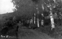"The Birches" in East Barnet