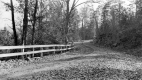 A Winding Rural Road