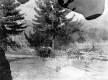 Four Horses Pull a Wagon