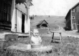 A Baby on Warden Farm