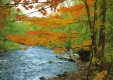 Autumn Scene of Joe's Brooke
