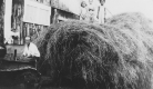Children Standing on Haystack