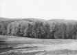 Warden Farm
