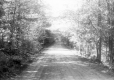 Warden Road by Cottage Turn