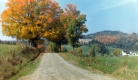 Warden Farm