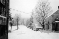 Warden Driveway