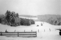Warden Farm