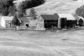 Warden Farm, 1976