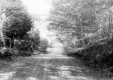 Warden Road