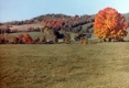 Warden Farm