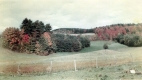 Warden Farmland