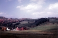 Warden Farm