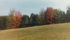 Fall Foliage Across Warden Farm