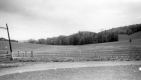 Walden Home