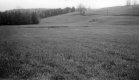 Warden Farm