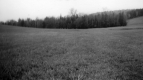 Warden Farm 1969