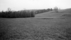 Warden Farm