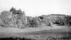 Warden Farm 1963