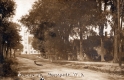College Street