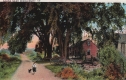 Rural Scene Near Middlebury