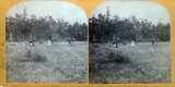 Two Women and a Man in a Field in Addison