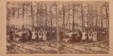 Addison School Picnic at Grandview